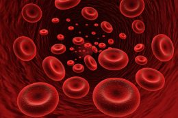 Гемоглобин при анемии легкой степени thumbnail